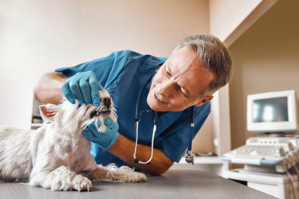Best Tooth Pain Emergency Relief  in Moss Point, MS